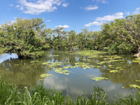 Habarana Lake